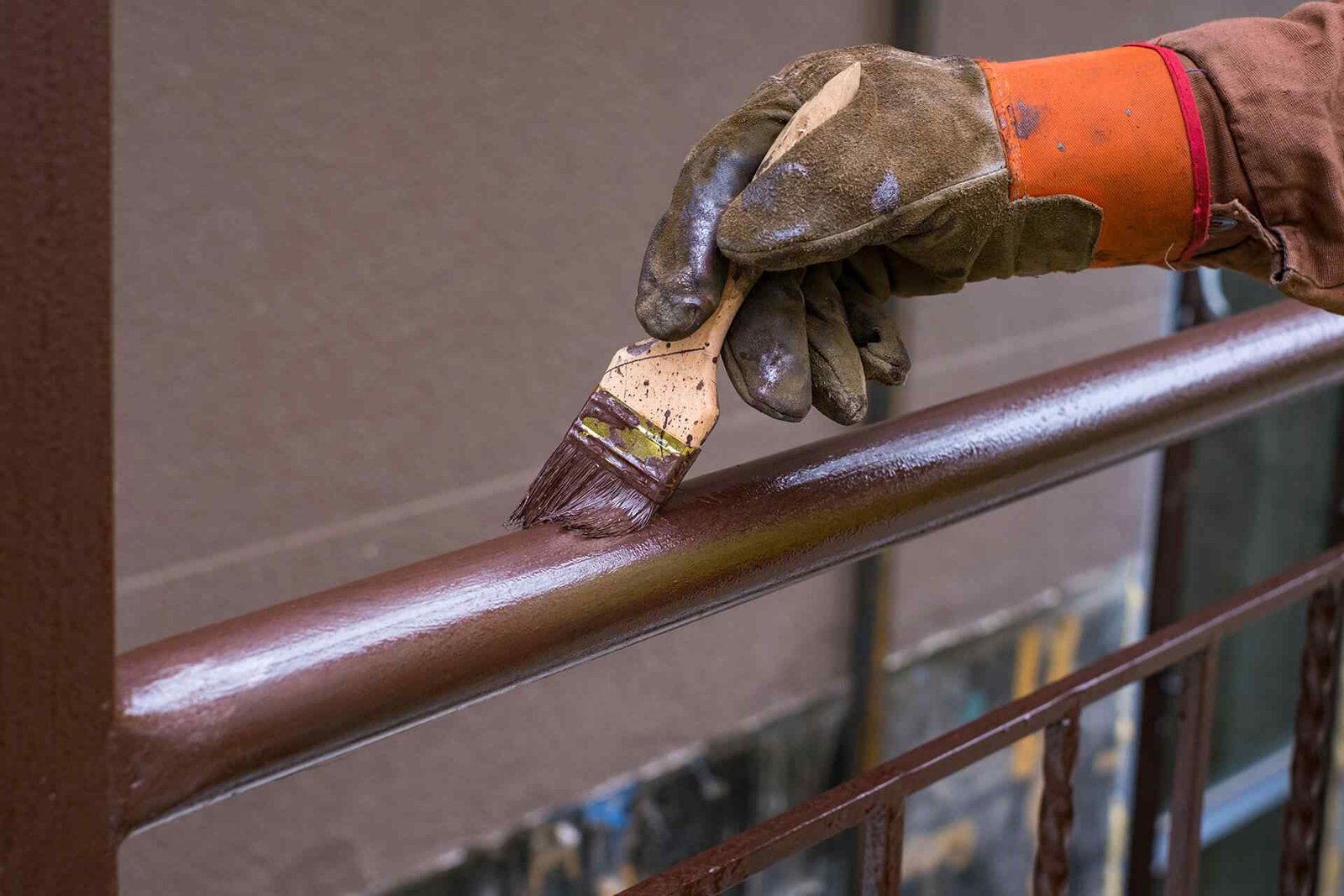 portfolio_01 portfolio_01